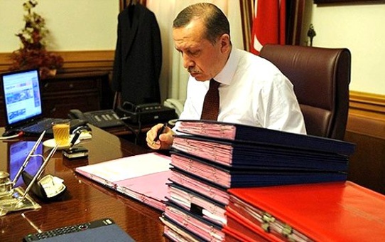 Ofisten Çıkan Böceklerin Yuvası Bulundu!