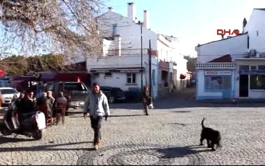 Çanakkale - Beylik Koyu İhalesi İptal Edildi