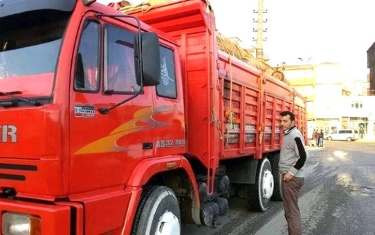 Tomruk Yüklü Kamyon Devrildi; 1 Ölü 3 Yaralı