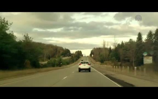 Sinema - 'Ölüm Ormanı'