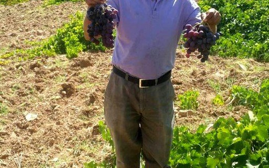 Mühendislerin Tavsiyesini Dinledi, 10 Yıl Sonra Bağından Verim Aldı