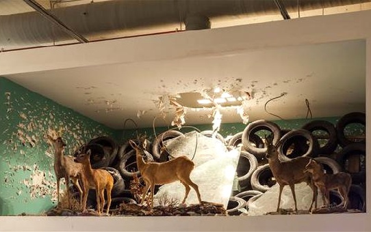 A City-wide Exhibition For Everyone: 14th Istanbul Biennial