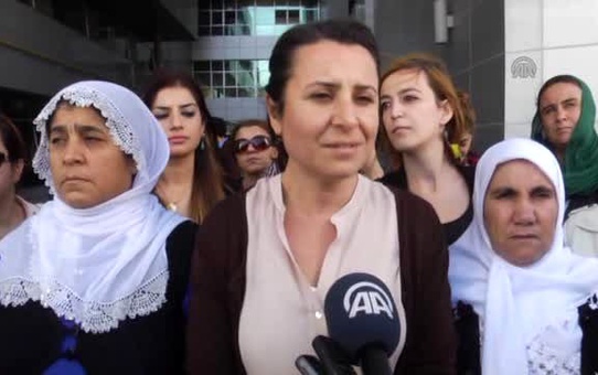 Hdp, Mersin ve Adana'da 4'er İlçenin Seçim Sonuçlarına İtiraz Etti