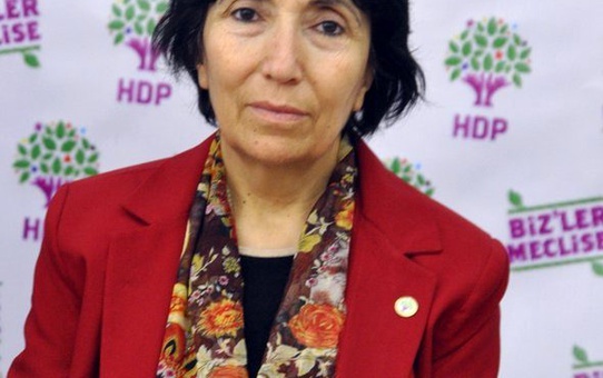 HDP'li Becerekli: Hak İhlalleri Artıyor