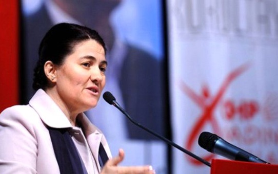 CHP Kadın Kolları Genel Başkanı Dokuzcan, İstifa Etti