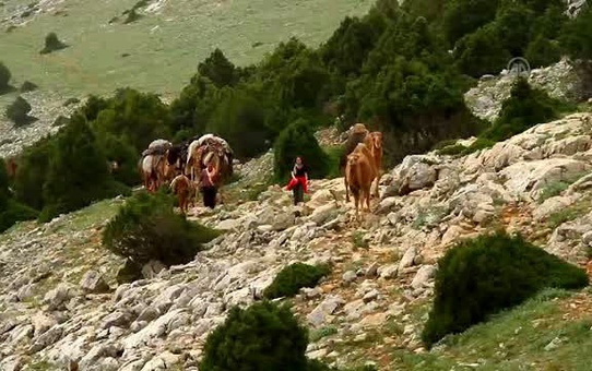 11. Sarıkeçililer Geleneksel Göç Kervanı' Etkinliği