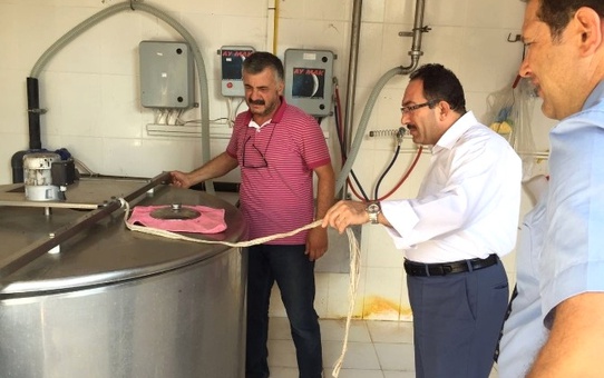 Örnek Hayvancılık İşletmesinde İncelemelerde Bulunuldu