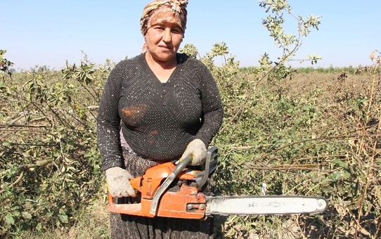 Testere Birgül'