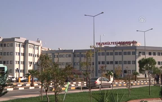 Cep Telefonu Bağımlılığı Terapi Ile Tedavi Edilmeli'