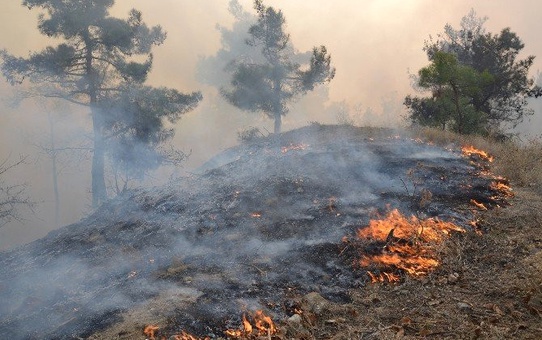 Dha Yurt Bülteni - 18