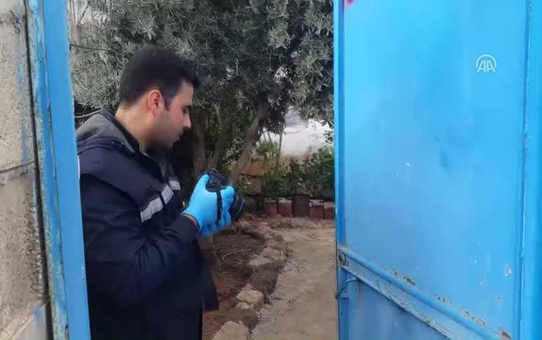 Çalınan Köpeğini Getirene Ödül Verecek