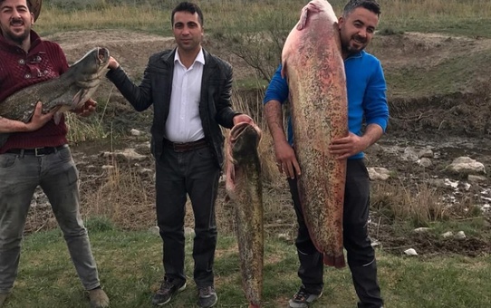 Boyundan Büyük Balık Yakaladı