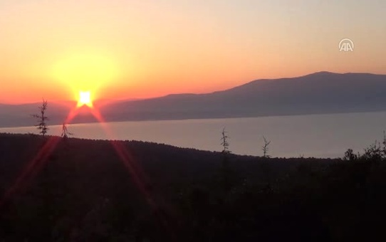 Kırmızı Karıncaların 'Zoraki Göçü' Başladı - Isparta