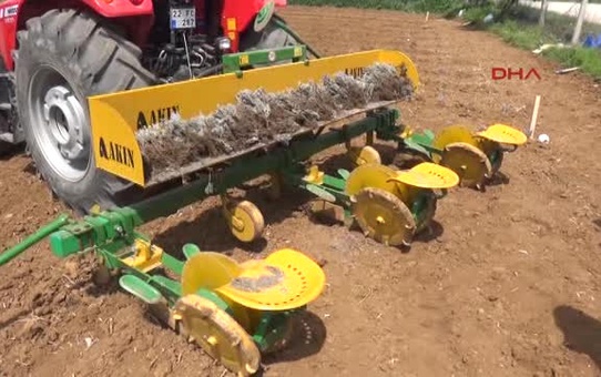 Keşan'da Ilk Kez Lavanta Ekimi Yapıldı