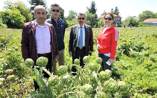 Cansuyu Desteği Yüz Güldürdü