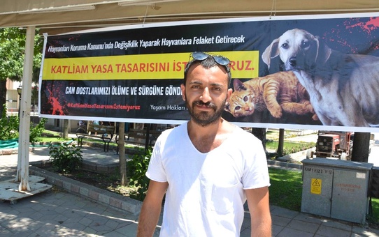 Video Çektim, Hakarete Uğradım