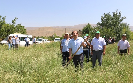 Erzincan'da İlk Kez İtalyan Çimi Alternatif Yem Bitkisi Tarla Günü Düzenlendi