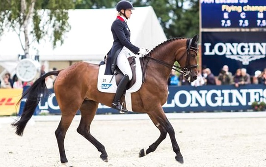Alman İngrid Klimke Feı Classics 2014/2015 Serisinin Galibi Oldu