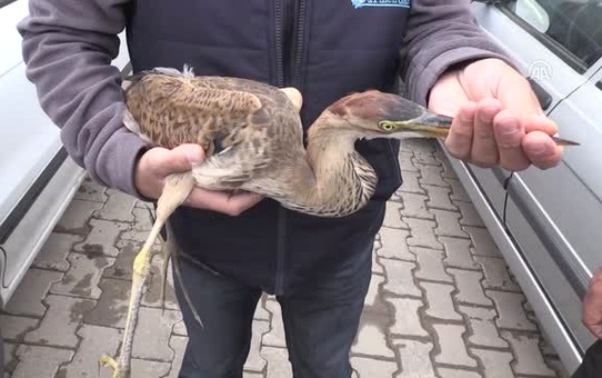 Balıkçılı Hayata Bağlayan Müdahale