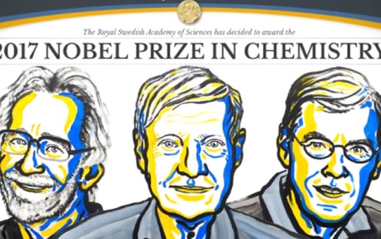 Nobel Kimya Ödülü, Biyomolekülleri 3 Boyutlu Olarak Görüntüleyen Bilim İnsanlarına Verildi