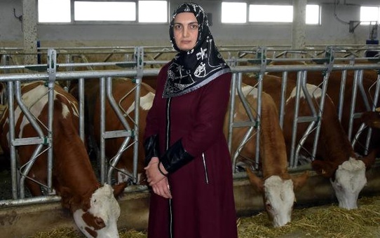 Kadın Girişimci, Devlet Desteğiyle 3 Milyon Liralık Hayvancılık Tesisi Kurdu