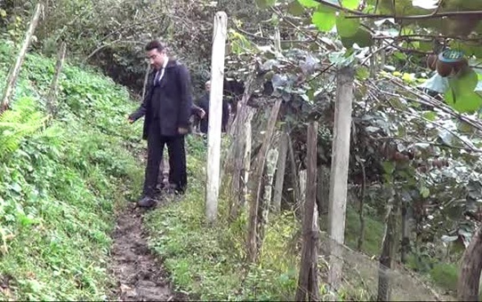 Kaymakam Özerden, Kivi Bahçelerine Hayran Kaldı