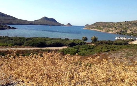 Bodrum'da 'Meralar Halka Kalsın' Eylemi