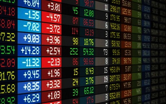 Pimaş Hisseleri Borsa Kotundan Çıkarıldı