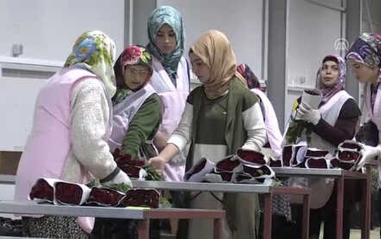 Çiçek İhracatında 2018 Hedefi 100 Milyon Dolar