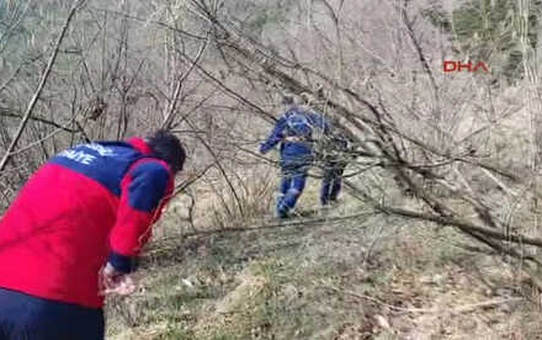 Zonguldak Yaralanan Danayı Sedyeyle Taşıdılar