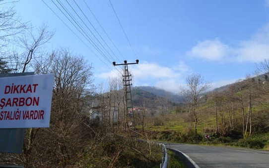 Trabzon'da Şarbon Tehlikesi