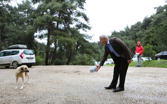Gönüllü Eller Can Dostlara Uzandı