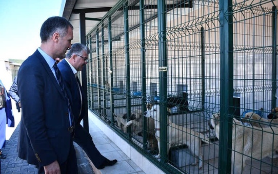 Bursa'ya Örnek Hayvan Bakım Merkezi
