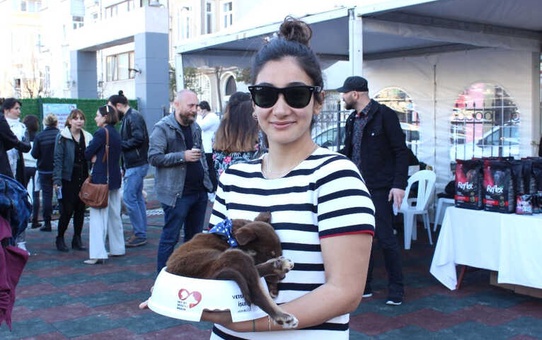 Cihangir'de Sokak Hayvanları Yeni Sahiplerine Kavuştu