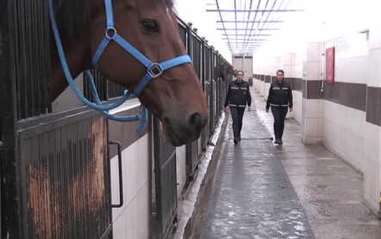 Atlı Timin Kadın Süvarileri