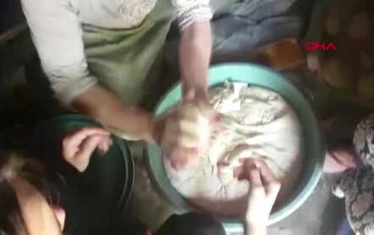 Hakkari Fransız Gençler, Yüksekovalı Öğretmenin Misafiri Oldu Hd
