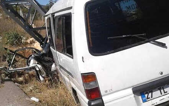 Arıların Saldırısına Uğrayan Minibüs, Elektrik Direğine Çarptı: 8 Yaralı