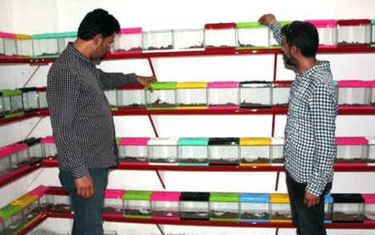 2 Kardeşin Hayaliyle Yola Çıkan Ünlü Patronlar, 20 Milyon Lira Yatırımla Akrep Çiftliği Kurdu
