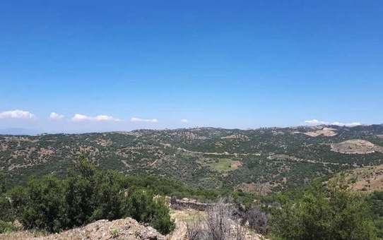 Milyonluk Araziyi Satışa Çıkardı, Mahalleli Ateş Püskürdü