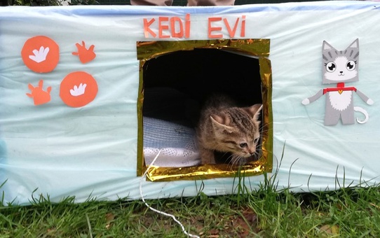 Bayrampaşa'da Kedilerin de Bir 'Yuvası' Oldu