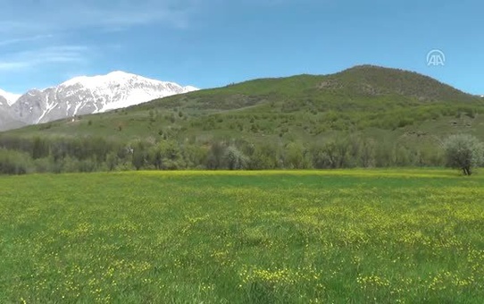 Fotoğraf Sanatının Sonu Yoktur'