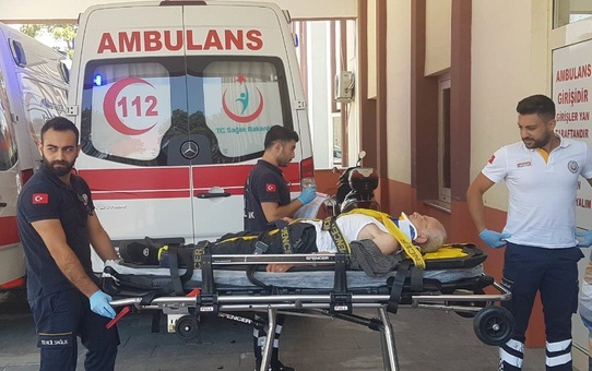 Antalya'da erik ağacından düşen yaşlı şahıs yaralandı