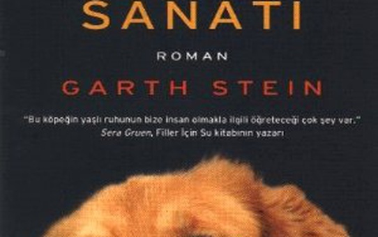 Enzo: Yağmurda Yarış Sanatı Filmi