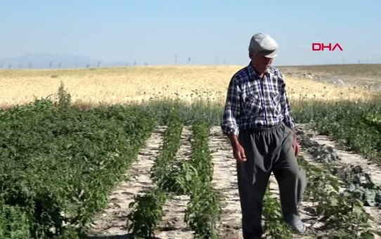 KONYA Yaşlı çiftin hayallerini yıktılar