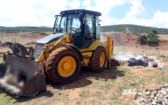 Yedikleri samandan zehirlenen 3 koyun telef oldu
