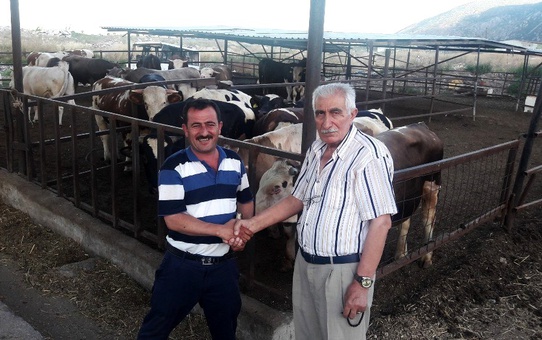 Kırkağaç'ta kurbanlıklara ilgi büyük