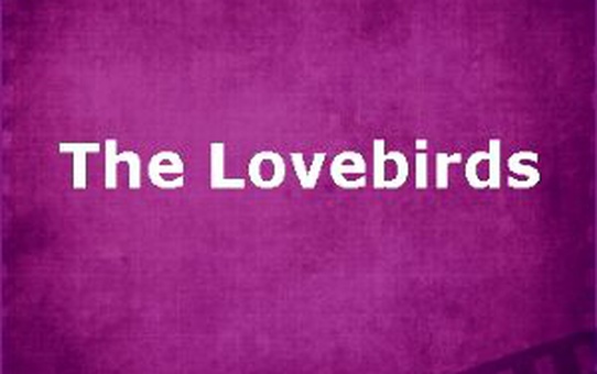 The Lovebirds Filmi