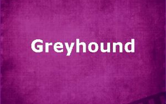Greyhound Filmi