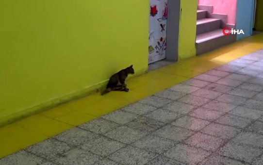Tarçın derste öğrenci, teneffüste anne
