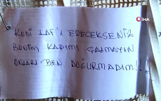 Ünlü oyuncu Fatma Belgen, sokak hayvanları için pazarda bere satıyor